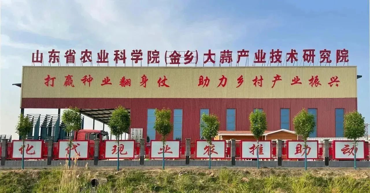 新老結(jié)對傳幫帶，凝心聚力譜新篇
