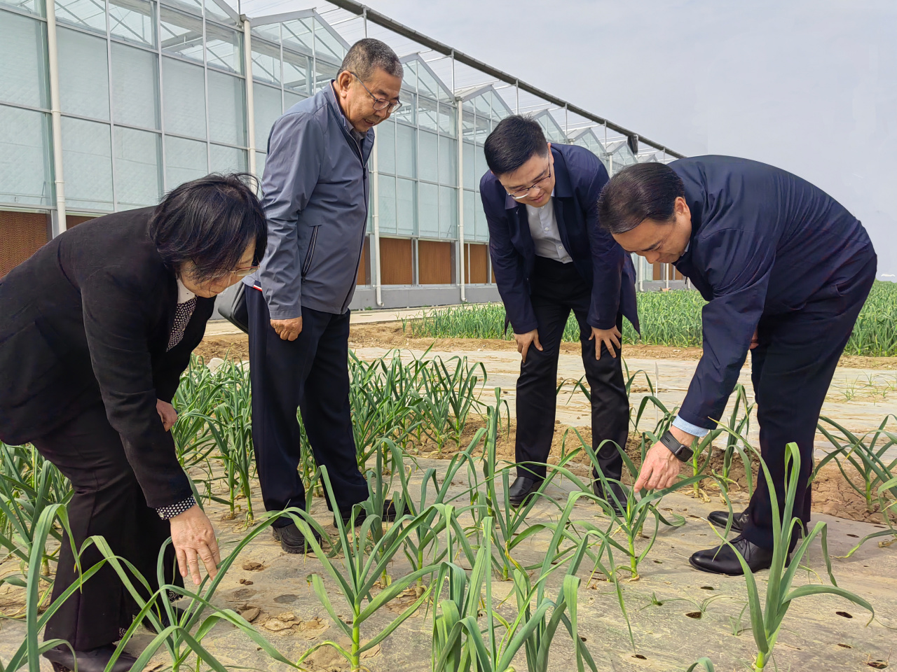 三亞電子加速器誘變育種實驗室領導蒞臨金春雨種業(yè)考察交流